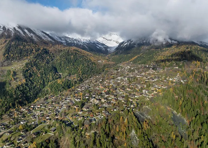 Comere 6 By Interhome * Ovronnaz